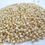Thumbnail: White Sorghum