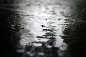 puddle.jpeg