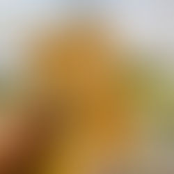 The Inimitable Jeeves by P.G. Wodehouse (1923)