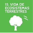 alimentacionbalanceada-ods-a.png