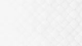 SWS Background.jpg
