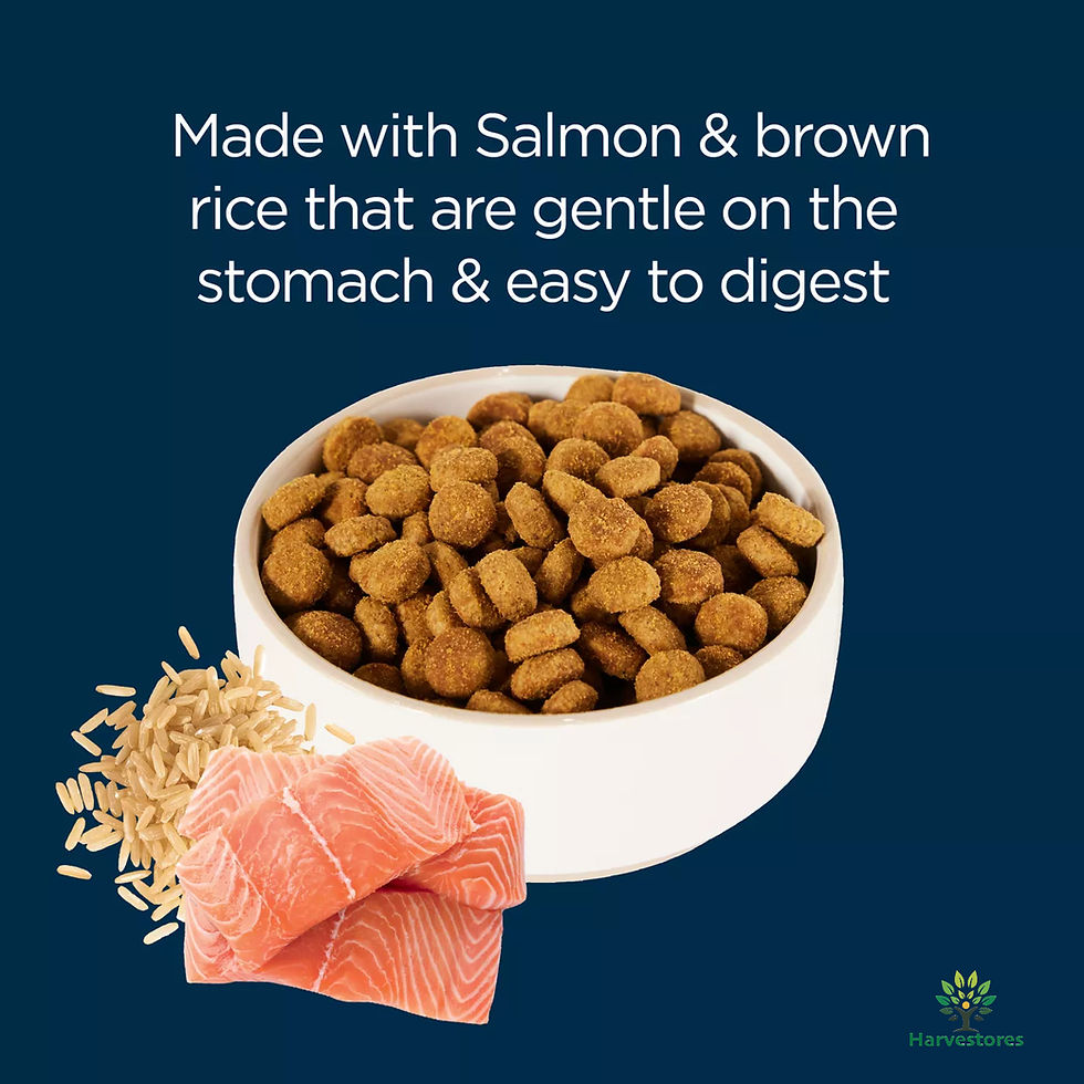 Thumbnail: Authority® Sensitive Stomach & Skin All Life Stages Dry Dog Food - Salmon & Rice