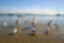IMG_5591.jpeg