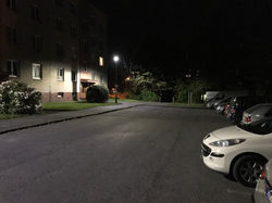 IMG_4420.JPG