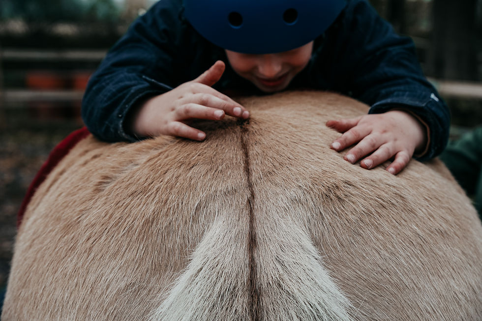 Autismustherapie für Kinder mit Pferden