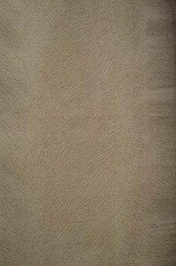 Suede Bege 258