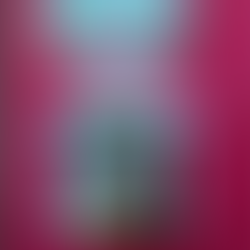 De Animalibus Illustribus 