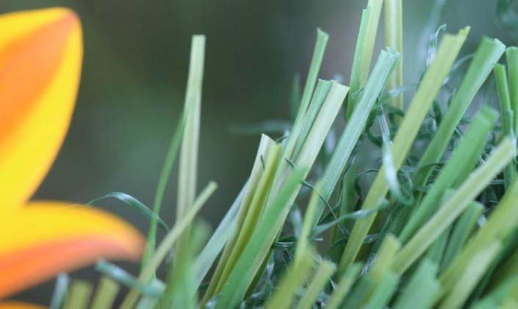 Thumbnail: S BLADE-90 GREEN ON GREEN