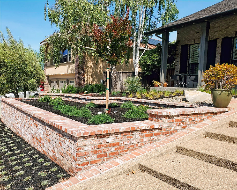 Brick planters_edited.jpg