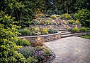 Retaining Walls_edited.jpg
