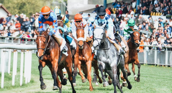 WhatsApp Bild 2025-07-23 um 14.35.45_537794c6.jpg