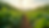 Wide angle view of a sustainable farm with diverse crops