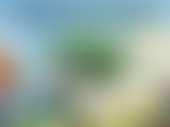 La théorie du cheval têtu