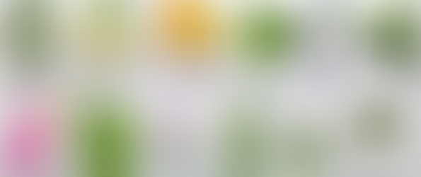 Ancient Therapeutic Tea Bath Soak