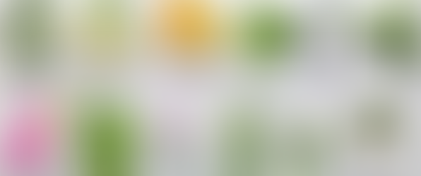 Ancient Therapeutic Tea Bath Soak