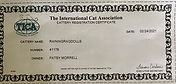 Raining Ragdolls TICA Certificate
