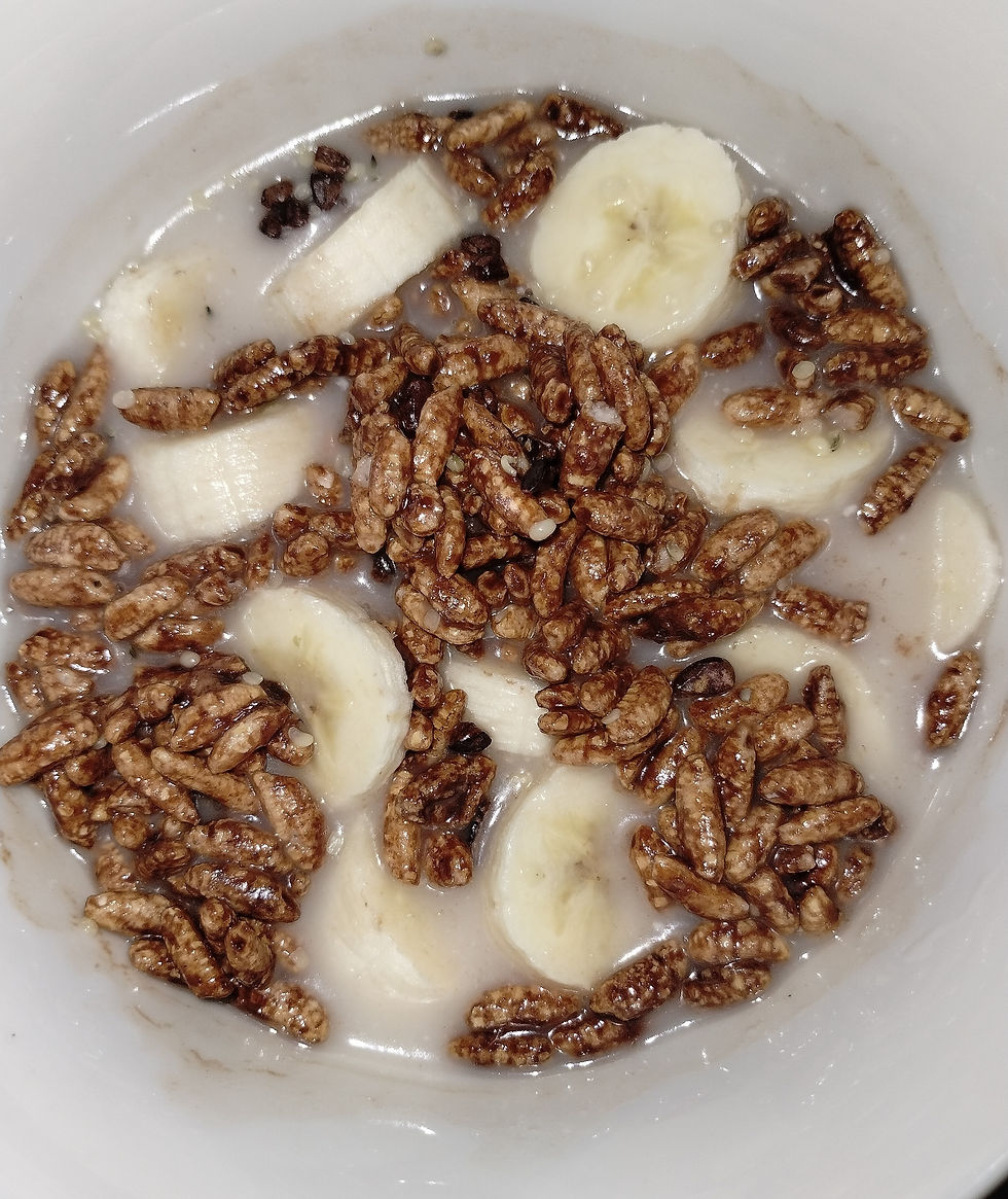 cocoa rice crispy cereal