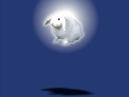 16. Tübinger Zaubergala