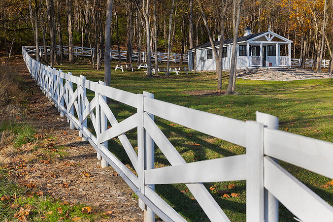 IMGL8217 copyjpg_1000.jpg