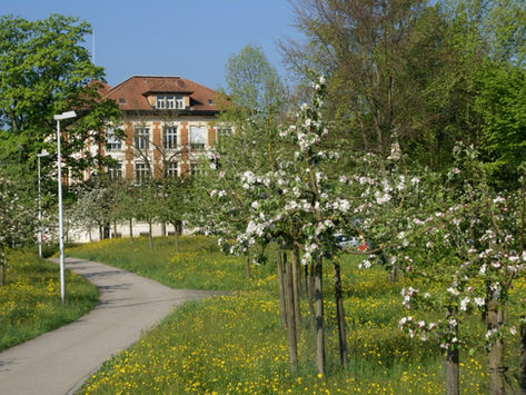 Sommerferien 2026