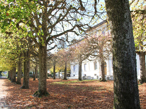 Herbstferien: Öffnungszeiten Sekretariat