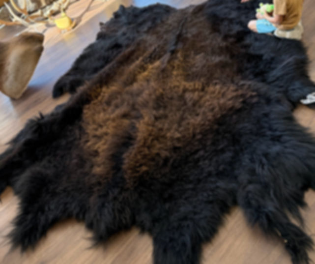 Bison Hide