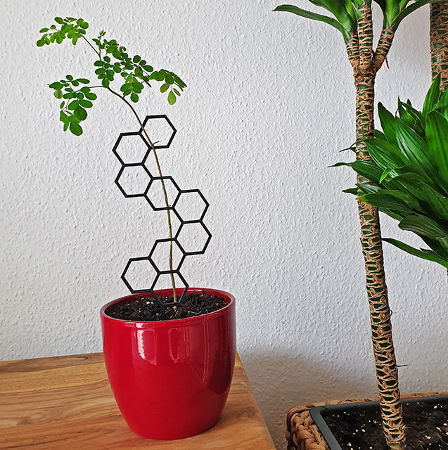 Miniaturbild: Bienenwabe (schwarz)