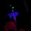 Miniaturbild: Wunderblume