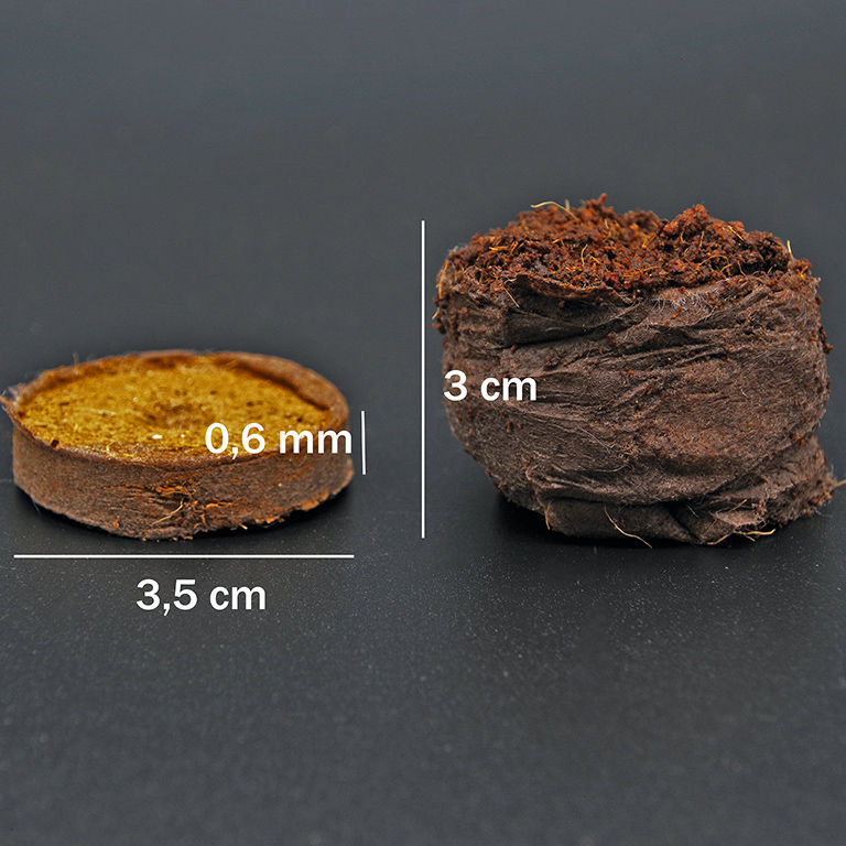 Miniaturbild: Kokos Quelltabletten