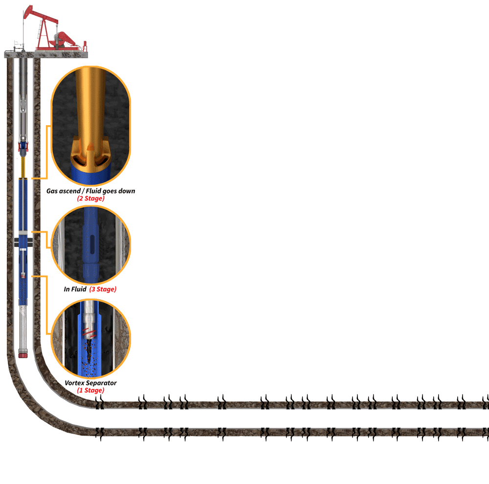 Diagram-G-Force-May10-2021.gif