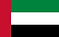Dubai flag.png