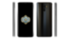 TransprancyRender FBS (1).png