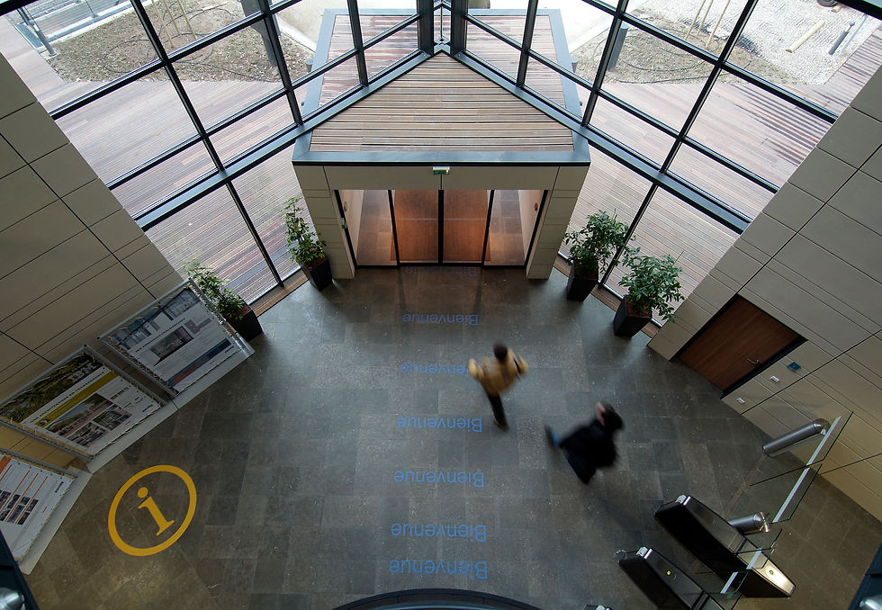hall / sas entrée