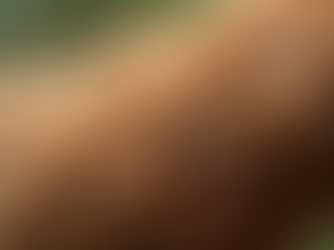 The Legality of DMT Plants in America What You Need to Know