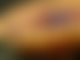 Exploring the Most Common Psilocybin Mushroom Species and Their Effects