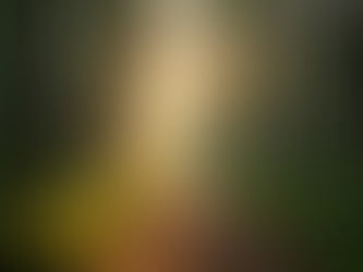 The Case for Nationwide Legalization of Psychedelics in America