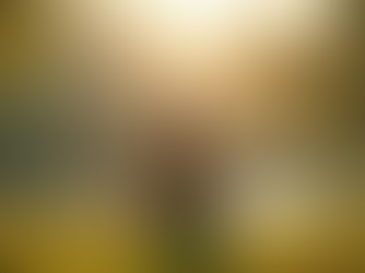 Exploring the Synergy Between Psychedelics and Meditation for Enhanced Spiritual Growth