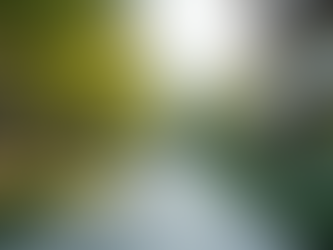 U.S. Cities Becoming Psychedelic Hubs