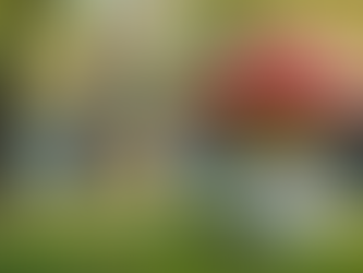 Exploring the Transformative Cultural Impact of Psychedelics in Modern Society