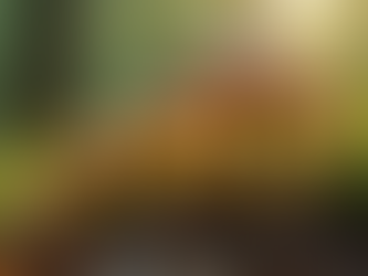 The Fascinating History and Rediscovery of Psilocybin in the 1950s