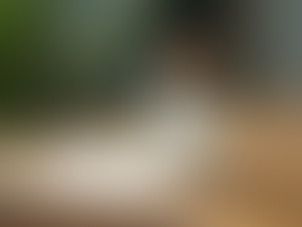 DMT vs LSD for Beginners in the U.S.