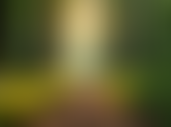 Exploring Safe Psychedelic Practices Across America