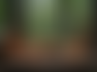 Exploring the Sacred: The Role of Shamans in Psychedelic Rituals