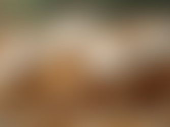 Top 10 Best Substrates for Cultivating Delicious Gourmet Mushrooms