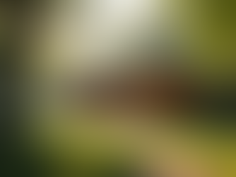 The Rise of Wellness Retreats Featuring Psychedelics