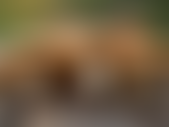 Can Psilocybin Be the Key to Overcoming Depression and Anxiety?