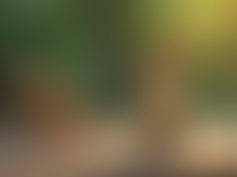 Psychedelics and Mental Health Risks in America