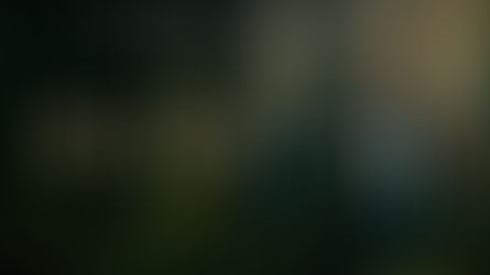 THREE PINES ON PRIME-ORIGINAL SCORE BY TOYDRUM AVAILABLE ON ALL STREAMING PLATFORMS