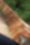 ChatGPT Image 19 févr. 2026, 08_42_43.png
