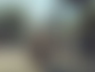 Triumph lança Bonneville T120 Black DGR Limited Edition